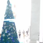 委身、奉献、信心